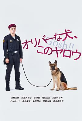 奥莉佛是狗，（天哪！！）这家伙