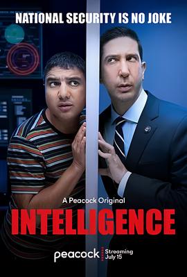 不靠谱情报局 第一季