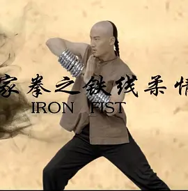 百家拳之铁线柔情